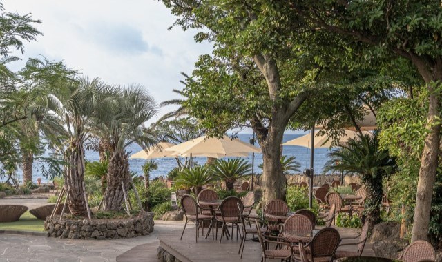 제주 커클패스 카페 자유이용권