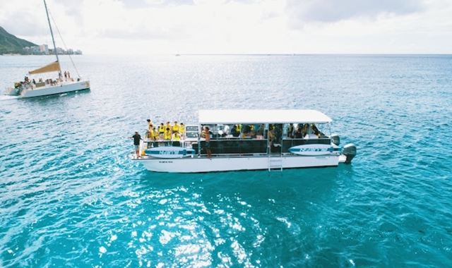 [거북이보장제] 하와이 와이키키 프리미엄 거북이 스노클링 & 해양 액티비티 5종 투어