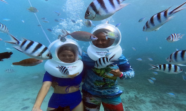 [괌 비키니 아일랜드 클럽] 아쿠아워커 + 바나나 보트 & 스노클링 투어