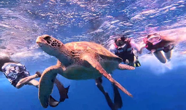 activity_detail_image