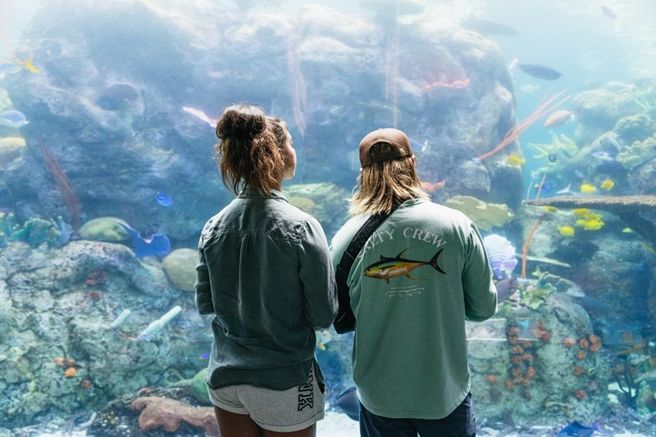 Aquarium of the Pacific Fast-Track Admission Ticket