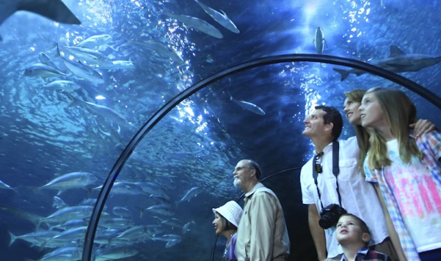 テネリフェ・ロロパルケ動物園チケット