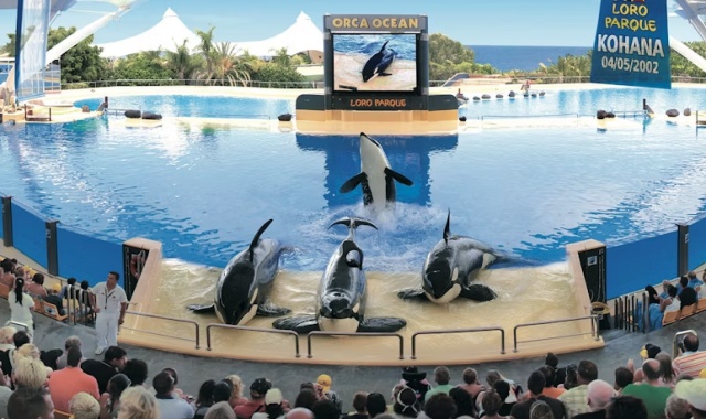 テネリフェ・ロロパルケ動物園チケット