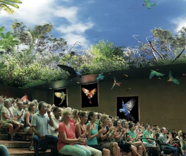 activity_detail_image