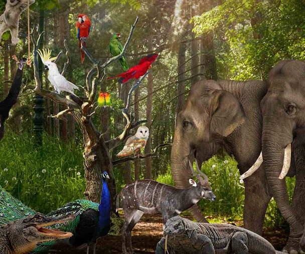 activity_detail_image