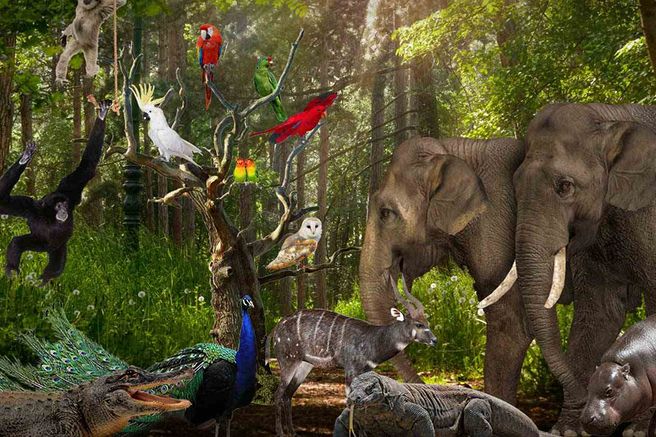 Lombok Wildlife Park Animal Interaction Experience Ticket