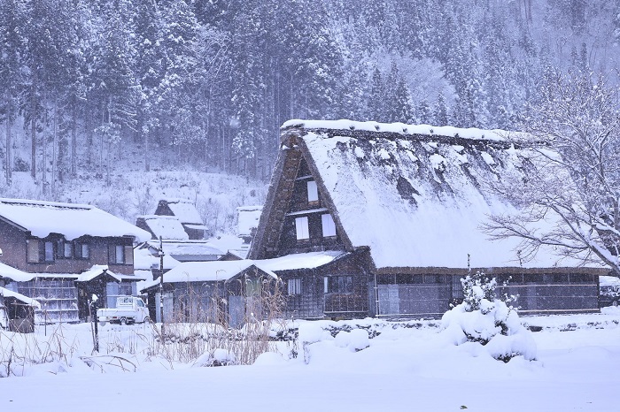 Nagoya Shirakawa-go & Takayama Bus Tour (Departure from Nagoya)