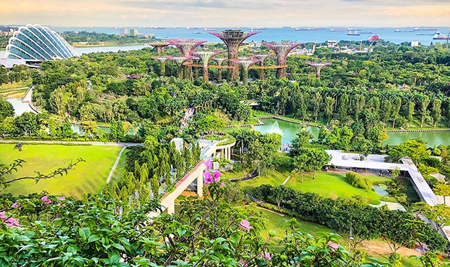 싱가포르 가든스 바이 더 베이 오디오 투어 버스