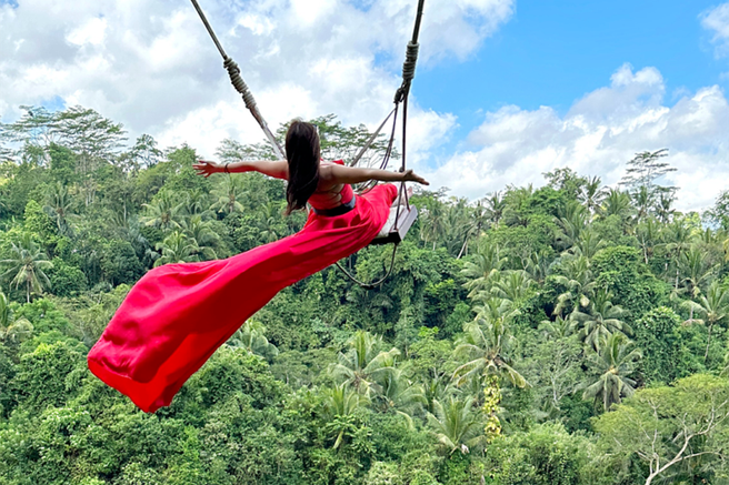 Bali Ubud Private Day Tour (Bali Swing, Royal Palace, Monkey Forest)