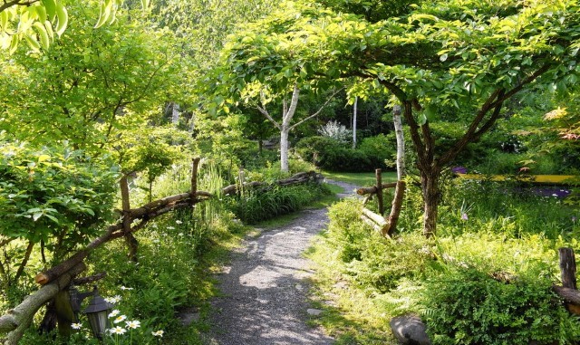 횡성 미술관 자작나무숲 입장권