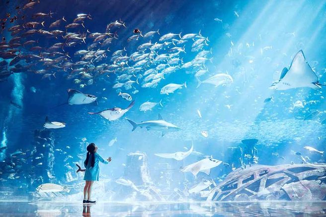 ドバイ アトランティス アクアベンチャー ウォーターパーク+ロストチェンバー水族館 コンボ入場券