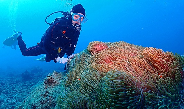[보트엔트리] 오키나와 푸른동굴 체험 다이빙 투어 (한국어 진행)
