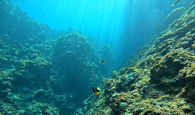 [보트엔트리] 오키나와 푸른동굴 펀 프리다이빙 투어 (한국어 진행)