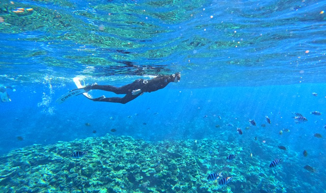 [보트엔트리] 오키나와 푸른동굴 펀 프리다이빙 투어 (한국어 진행)