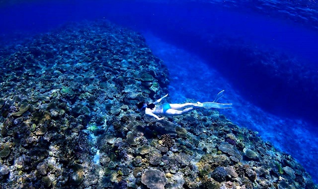 [보트엔트리] 오키나와 푸른동굴 펀 프리다이빙 투어 (한국어 진행)