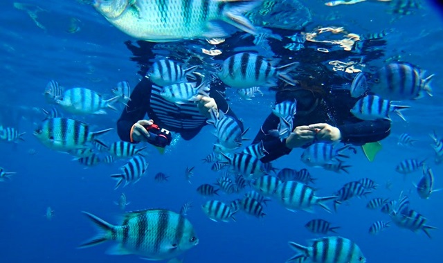 [보트엔트리] 오키나와 푸른동굴 펀 프리다이빙 투어 (한국어 진행)