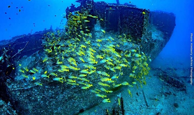 하와이 와이키키 프리미엄 잠수함 투어