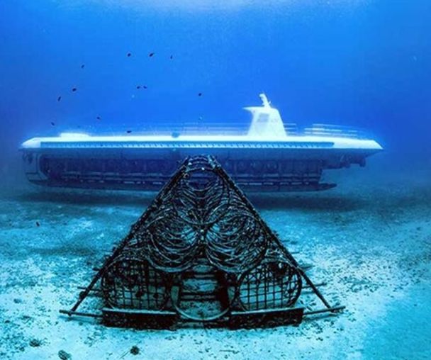 activity_detail_image