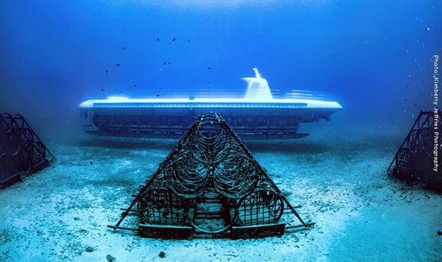 하와이 와이키키 프리미엄 잠수함 투어