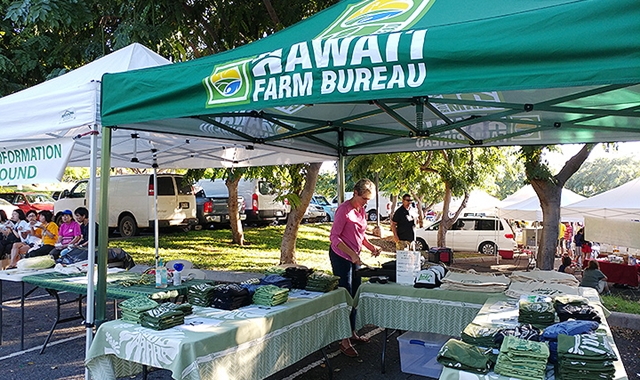 하와이 오아후 다이아몬드 헤드 일출 하이킹 & KCC 파머스 마켓 투어