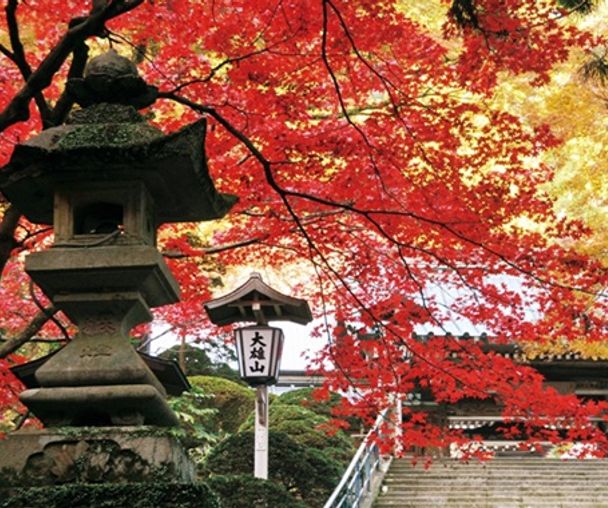 activity_detail_image