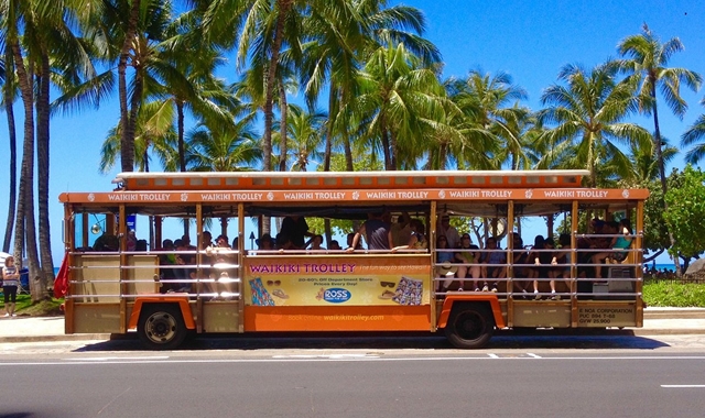 하와이 와이키키 트롤리 무제한 패스