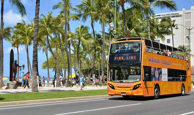하와이 와이키키 트롤리 무제한 패스