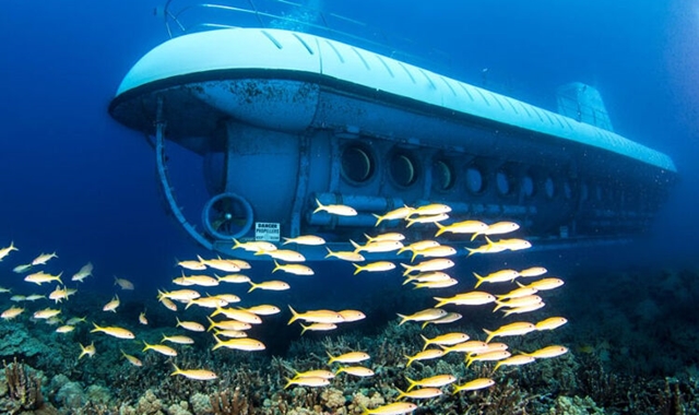 하와이 빅아일랜드 코나 프리미엄 잠수함 투어