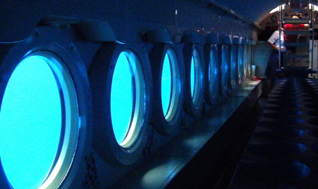 하와이 빅아일랜드 코나 프리미엄 잠수함 투어