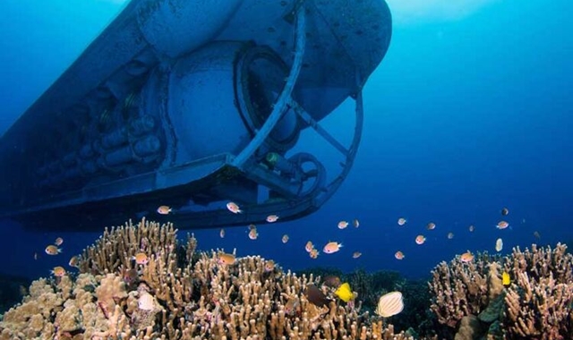 하와이 빅아일랜드 코나 프리미엄 잠수함 투어