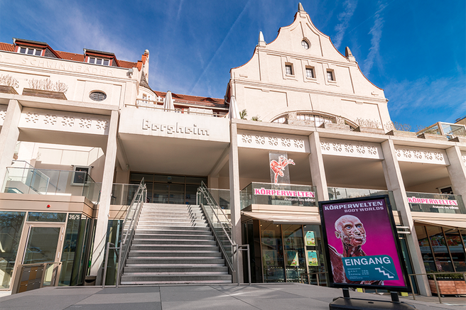Heidelberg Body Worlds Museum Ticket