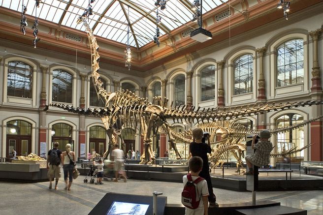Berlin Museum of Natural History Ticket