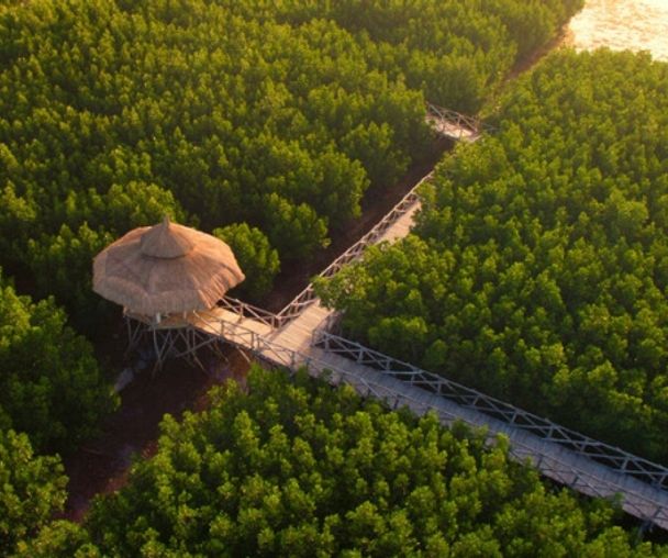 activity_detail_image