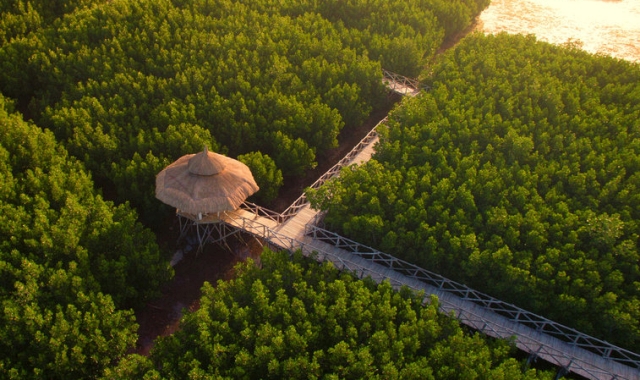 보홀 선셋 디너 프라이빗 투어 (노스젠 밤부 브릿지)