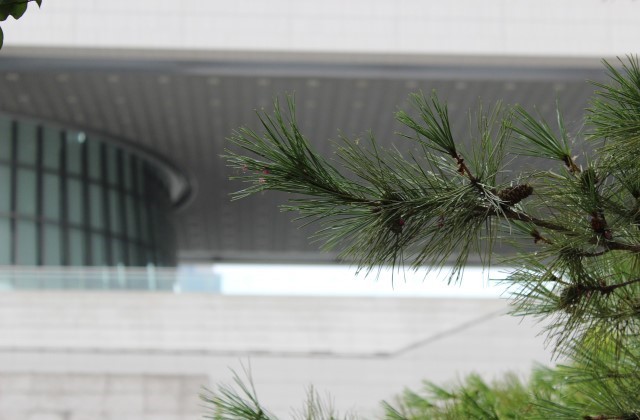 서울 용산 국립중앙박물관 오후 투어 (트래블레이블)