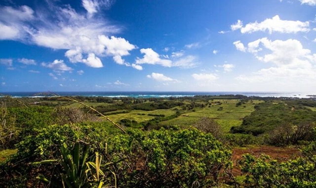 하와이 오아후 건스탁 랜치 승마 체험