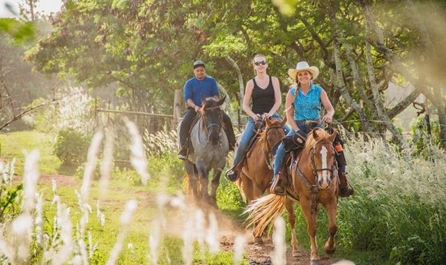 하와이 오아후 건스탁 랜치 승마 체험
