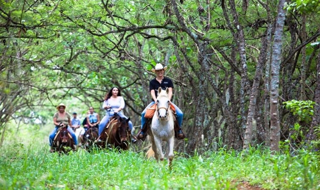 하와이 오아후 건스탁 랜치 승마 체험