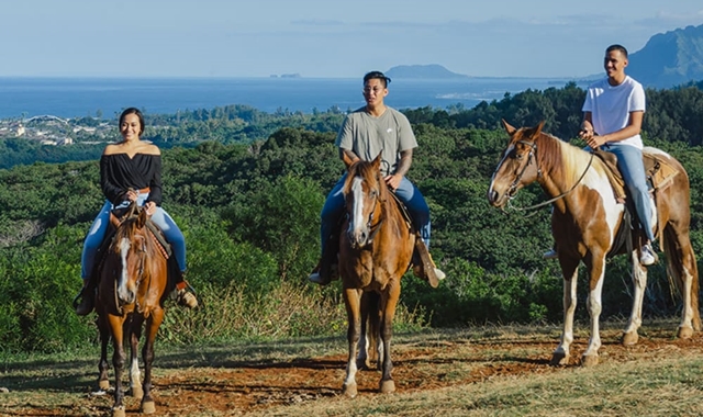 하와이 오아후 건스탁 랜치 승마 체험 단독 투어