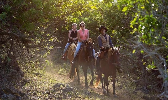 하와이 오아후 건스탁 랜치 승마 체험 단독 투어