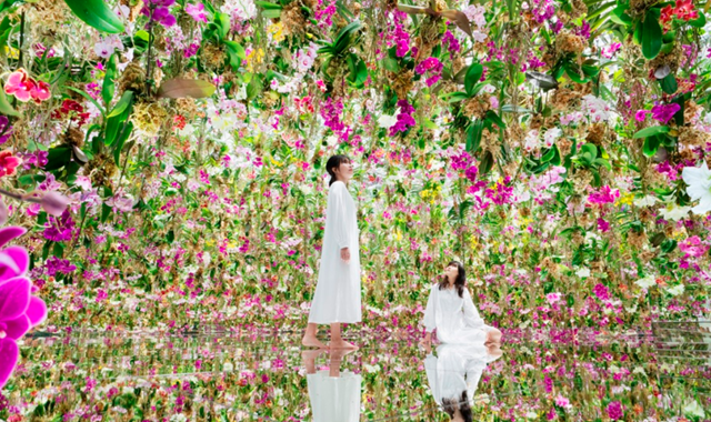 東京タワー展望台 ＋ teamLab Planets TOKYO 電子チケット