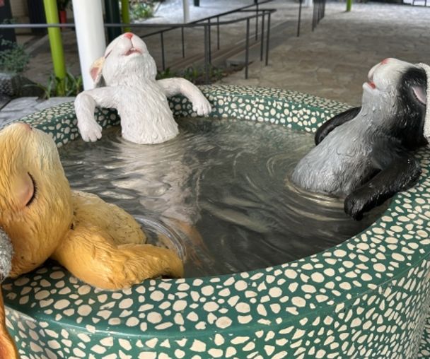 activity_detail_image