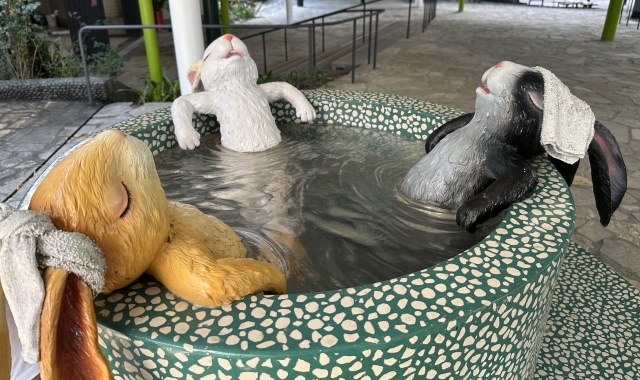 [엔데이트립] 타이베이 출발: 대만 자오시 온천 & 카발란 셔틀버스 투어