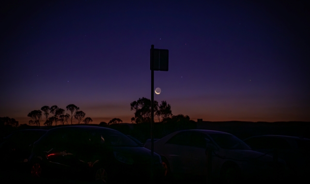 [지그재그투어] 페더데일 동물원 & 블루마운틴 선셋 + 별밤 (별보기) 투어