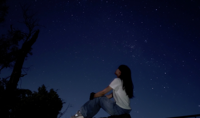 [지그재그투어] 페더데일 동물원 & 블루마운틴 선셋 + 별밤 (별보기) 투어