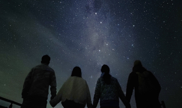 [지그재그투어] 페더데일 동물원 & 블루마운틴 선셋 + 별밤 (별보기) 투어