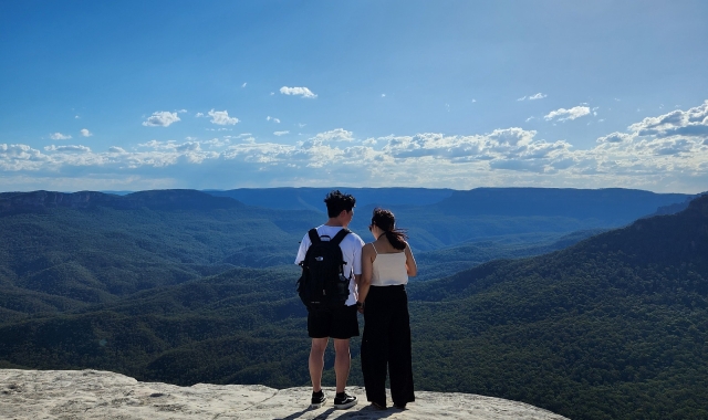 [지그재그투어] 페더데일 동물원 & 블루마운틴 선셋 + 별밤 (별보기) 투어