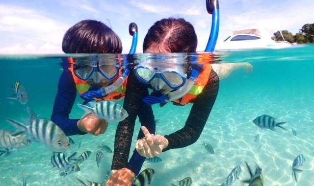 パタヤ・ニモ島シュノーケリング日帰りツアー（パタヤ出発）