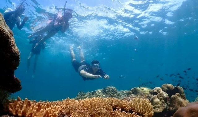 パタヤ・ニモ島シュノーケリング日帰りツアー（パタヤ出発）