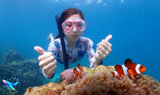 パタヤ・ニモ島シュノーケリング日帰りツアー（パタヤ出発）